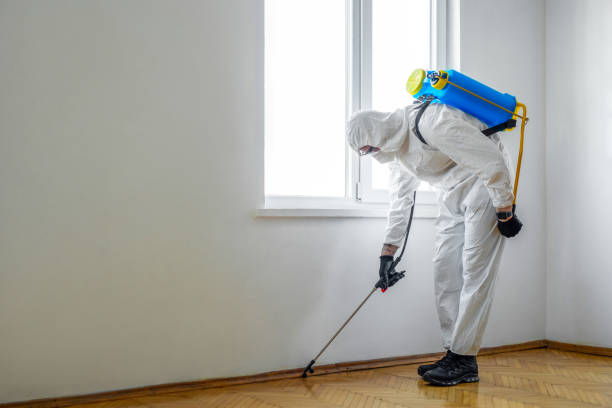 Flea Control Services in Fort Pierce North, FL